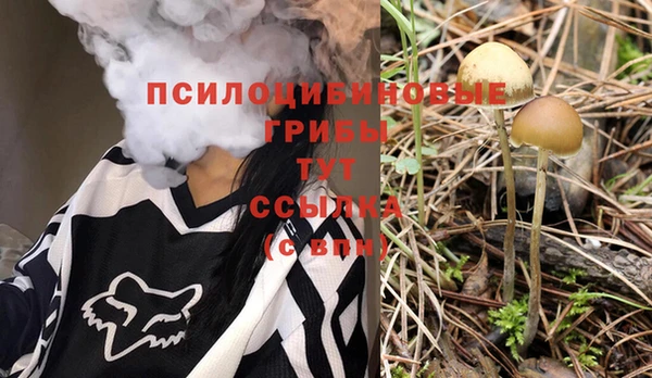 бошки Армянск