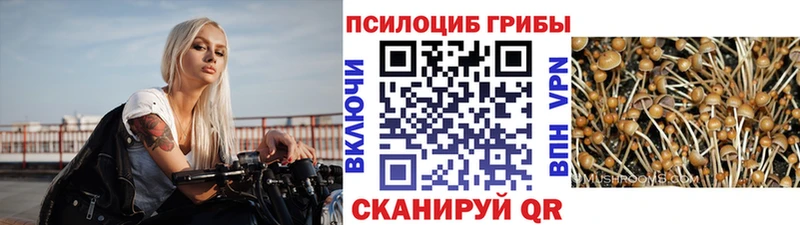 Галлюциногенные грибы мицелий  ссылка на мегу вход  Аткарск  где можно купить  